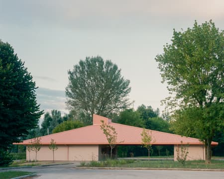 Under the Pink Roof